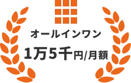 オールインワン 1万5千円/月額