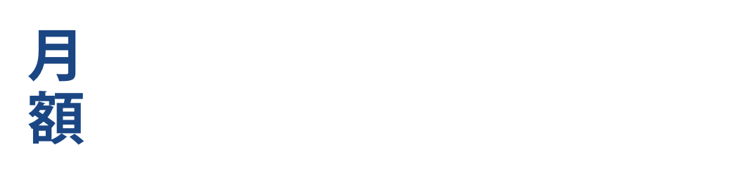 プロフェッショナルプラン価格